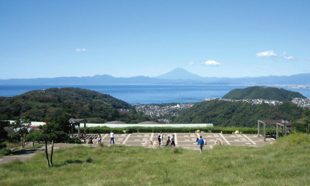 駿河湾と富士山が望める広場